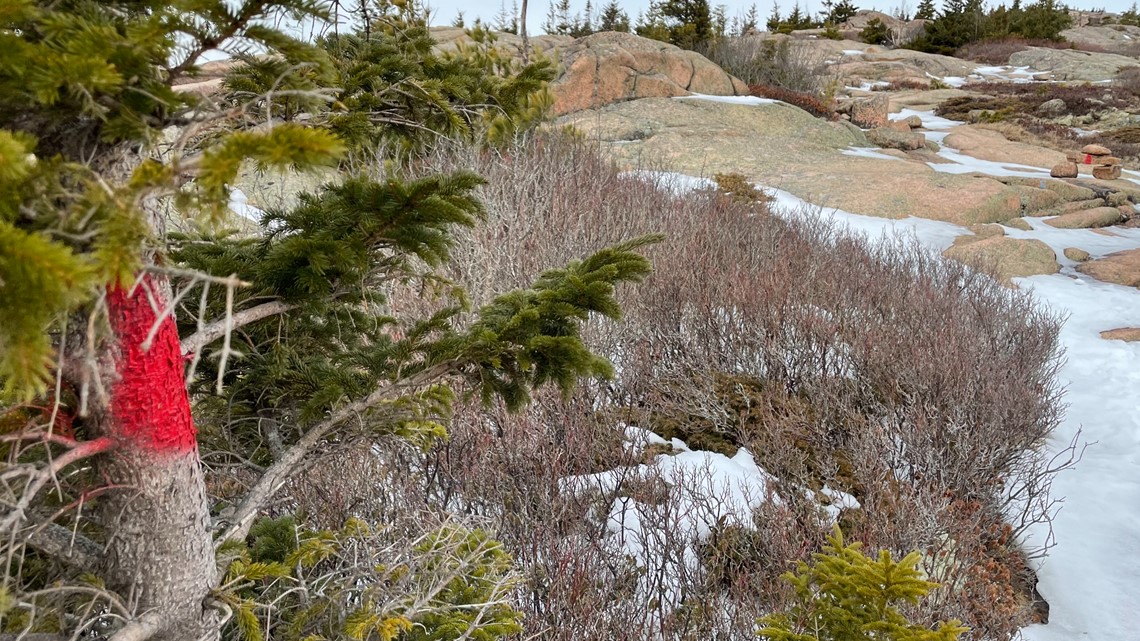 Acadia National Park Investigating Vandalism Incidents   E3124036 A9c3 419e A037 41ba4208a308 1140x641 