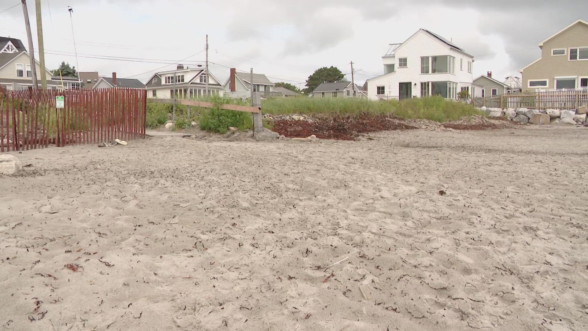 Last week, fencing that marked endangered shorebird areas was removed and signage was removed and damaged, police said.