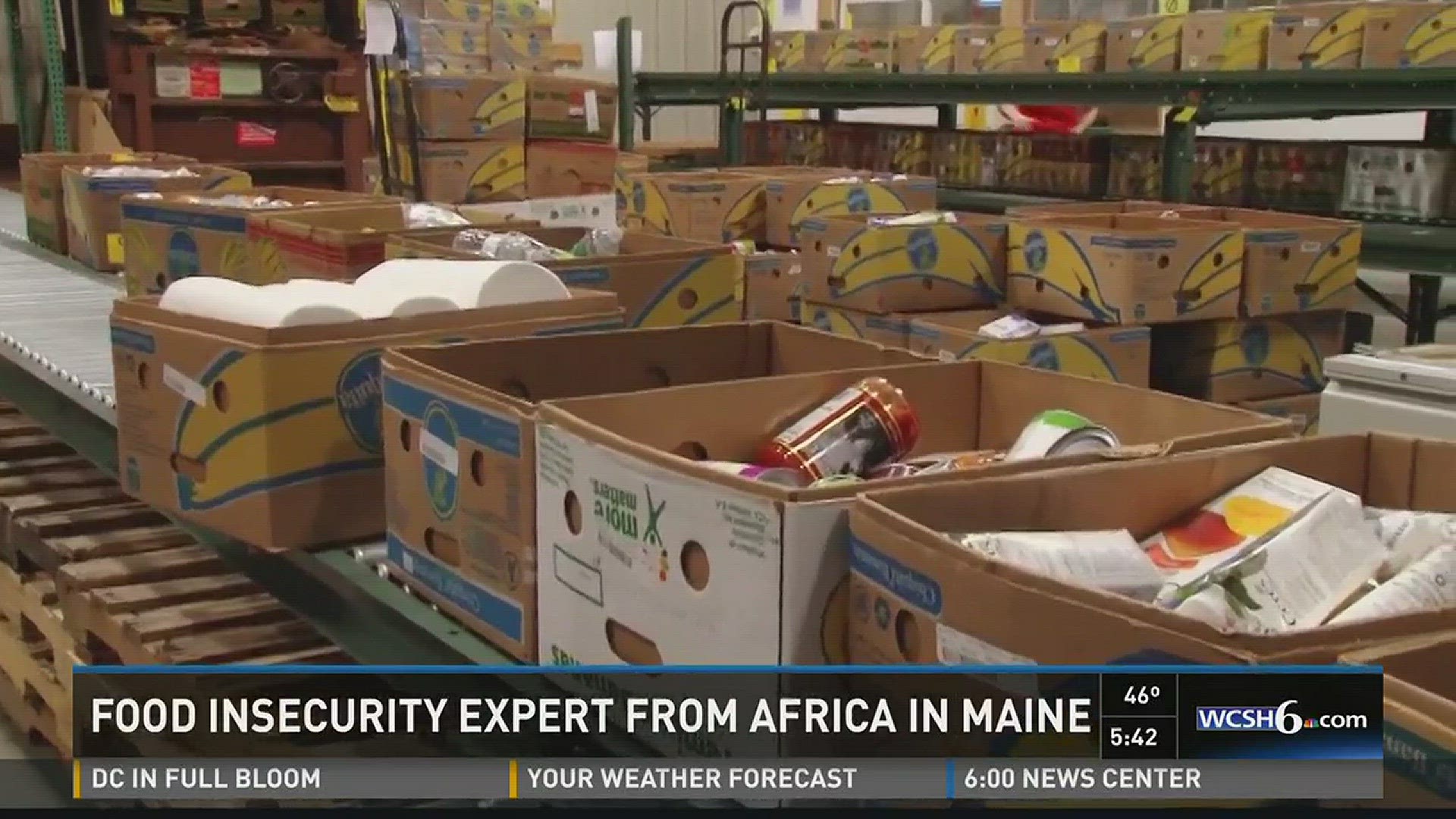 Expert discusses food insecurity