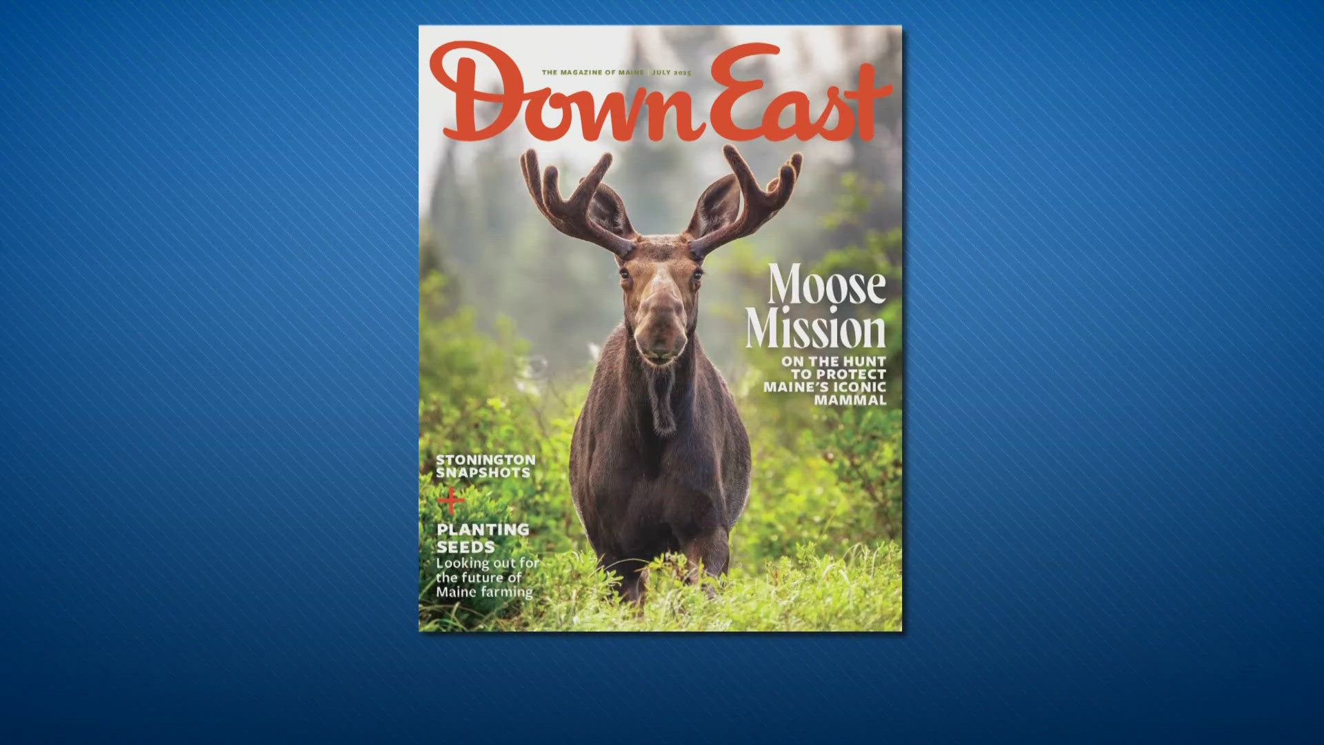 “Down East” looks at the devastating toll and the man trying to turn it around.
