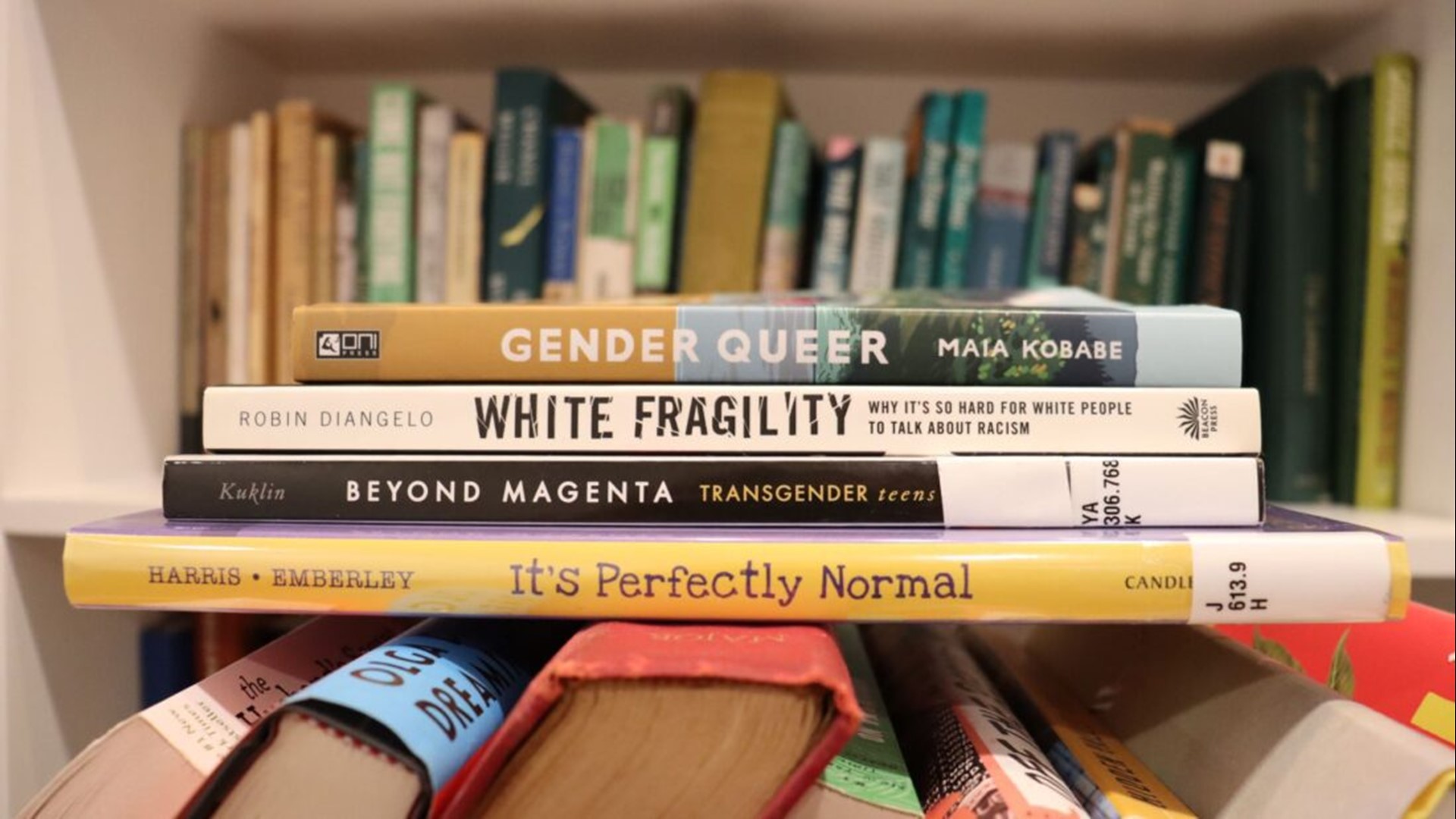 Most complaints target LGBTQ+ books, a Maine Monitor review found. Some rely on resources from national conservative organizations.