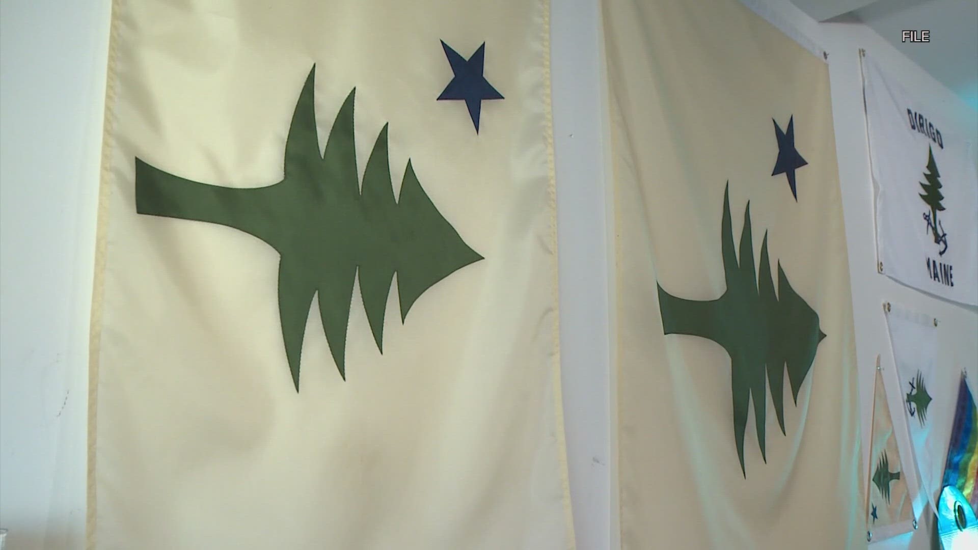 The new flag up for election is based on the state's original 1901 flag and will feature a beige background with a green pine tree and a lone blue star.