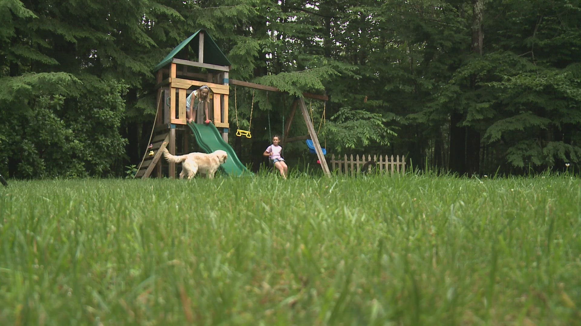 The CDC says kids are the most at risk for Lyme because they often play where ticks are active.
