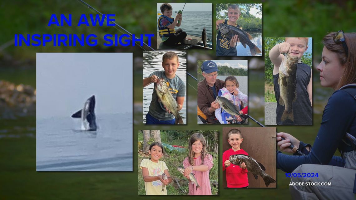 Big Ol' Fish: An Awe Inspiring Sight | newscentermaine.com