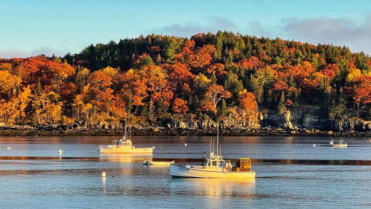 Maine sees new records set with unusually high temps in November