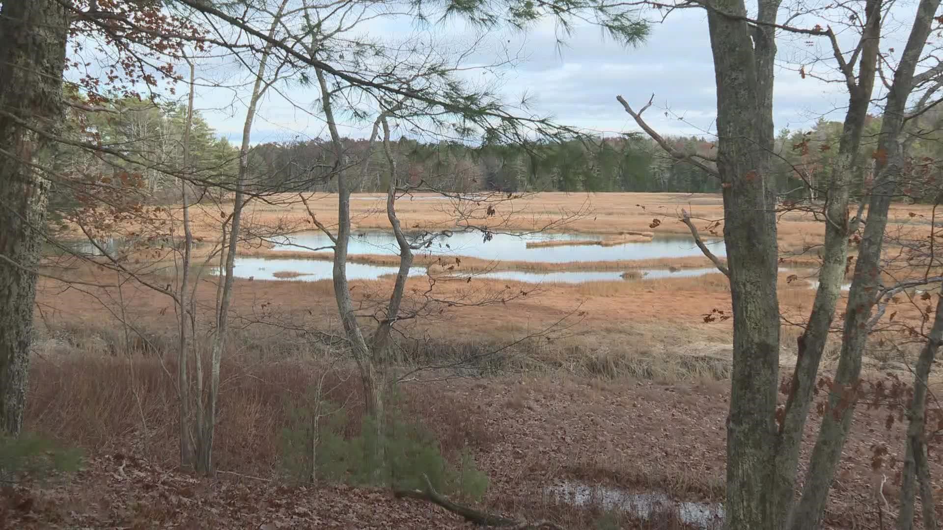 Rep. Pingree said the money will help pay for the state’s Cousins River Fields and the Marsh Conservation Project, which will protect about 43 acres in Casco Bay.