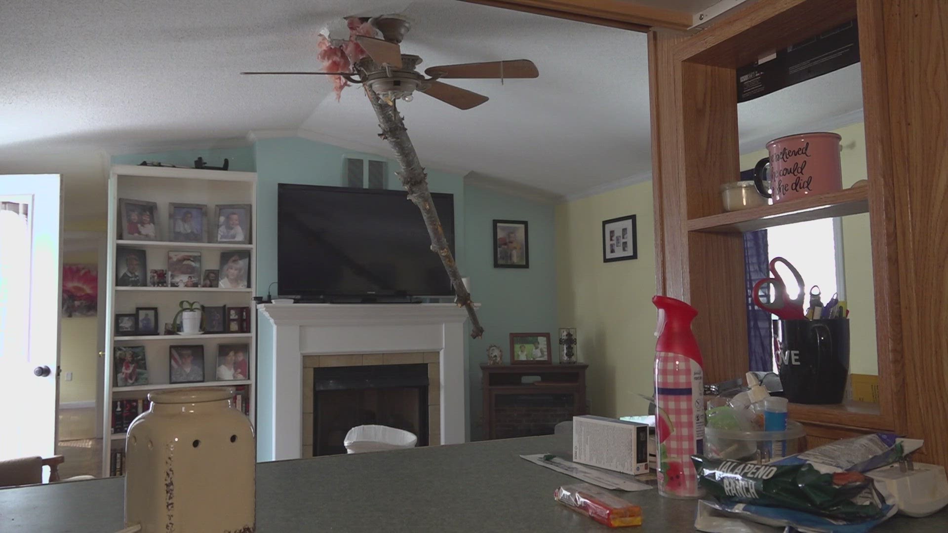 A Brunswick woman says she's lucky to be alive after nearly being hit by a branch that crashed through her living room.