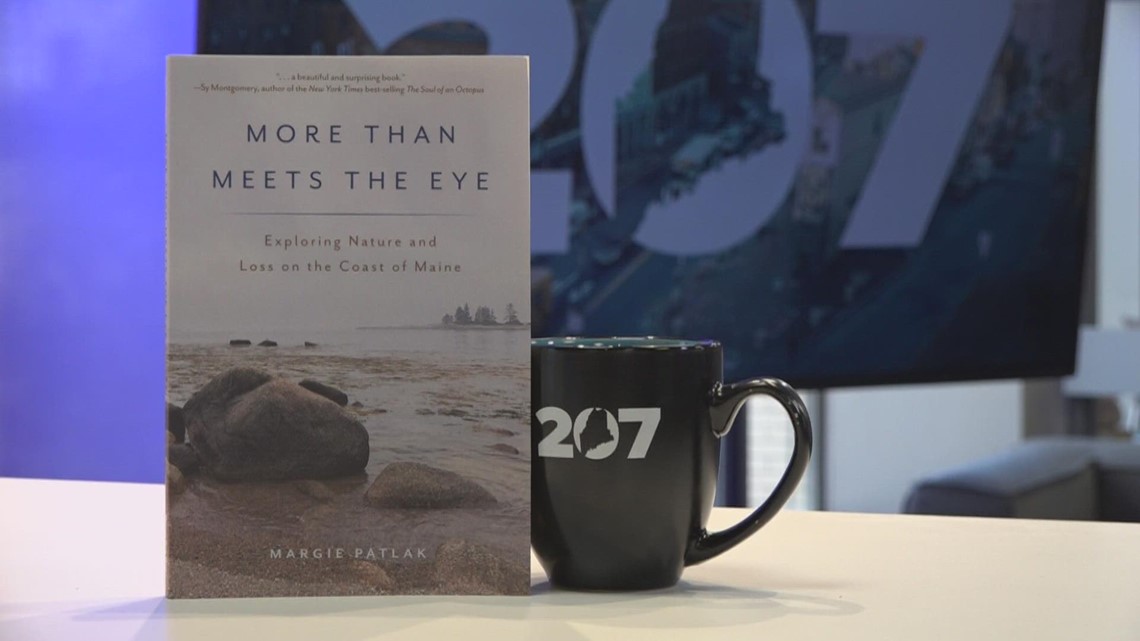 Healing and loss explored in 'More Than Meets The Eye' - Vimarsana News