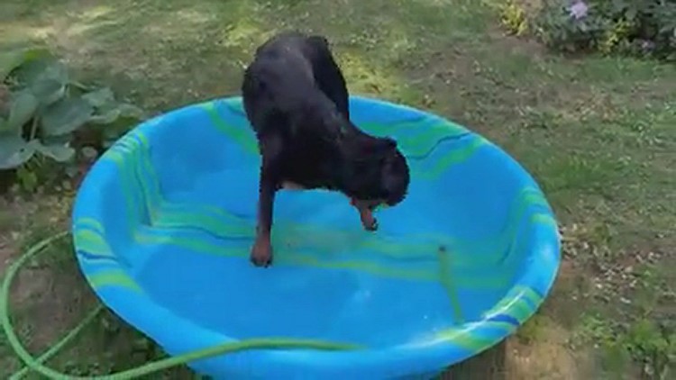 Playing in the pool