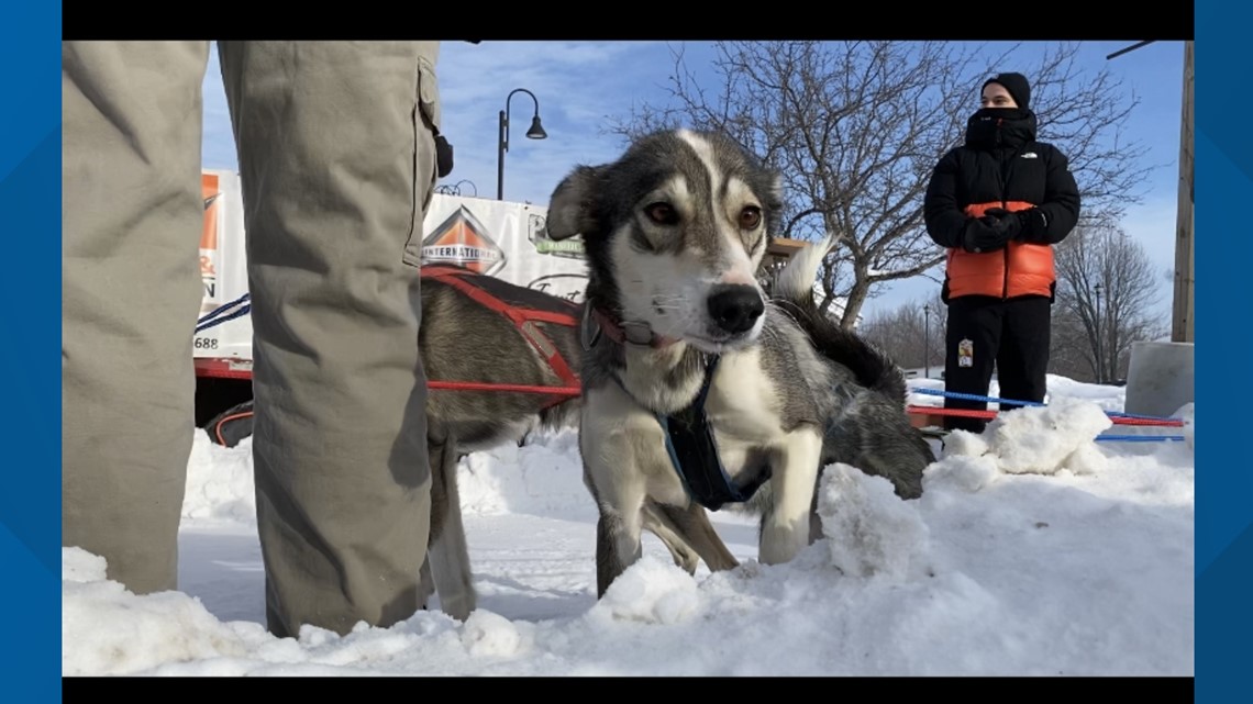 Meet the Mushers :: Can-Am Crown International Sled Dog Races