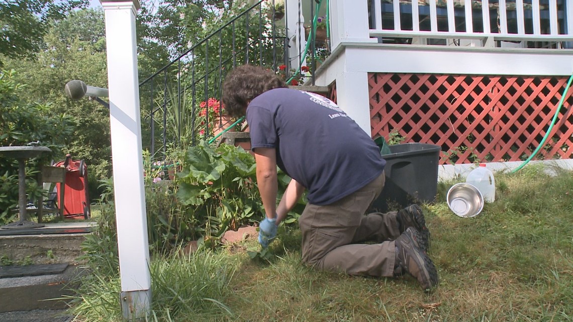 Free soil lead tests available to Maine residents