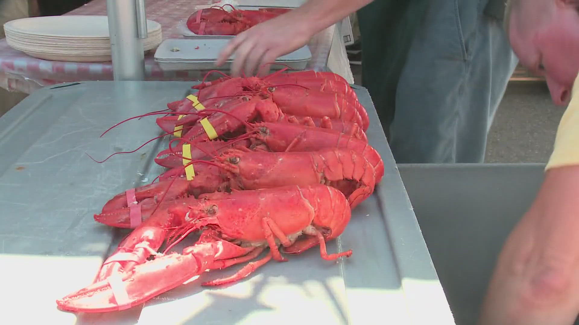 The animal rights group claims steaming lobsters alive violates state law banning animal torture and torment.