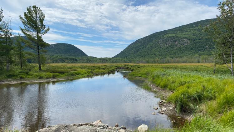 Acadia awarded $7.8M in federal funds to upgrade water distribution systems