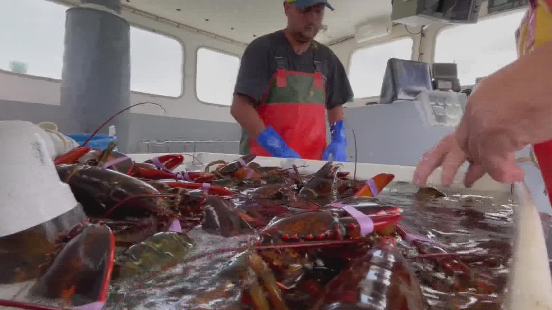 Whole Foods recently said it will suspend the sale of Maine lobster. This comes after ongoing legal battles within the Maine lobster industry.