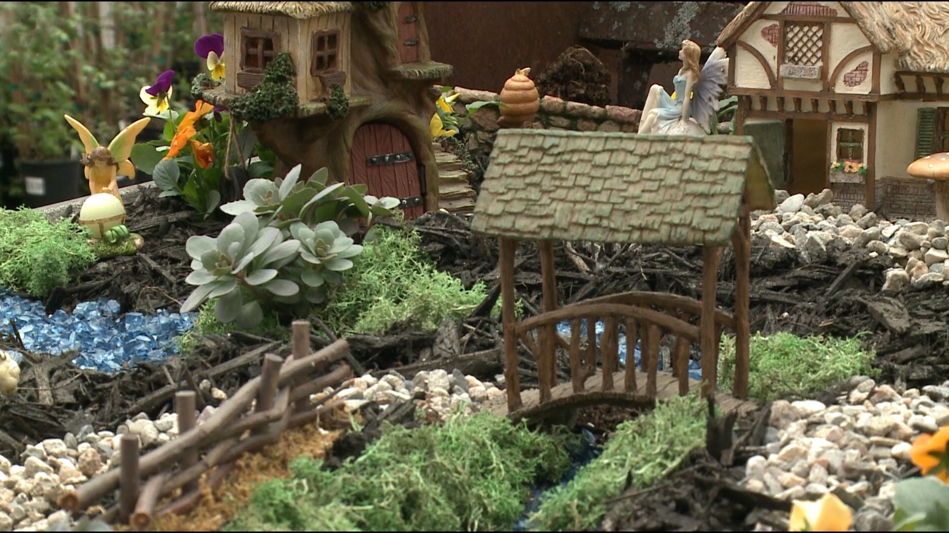 Fairy gardens and tropical plants continue to be favorites.