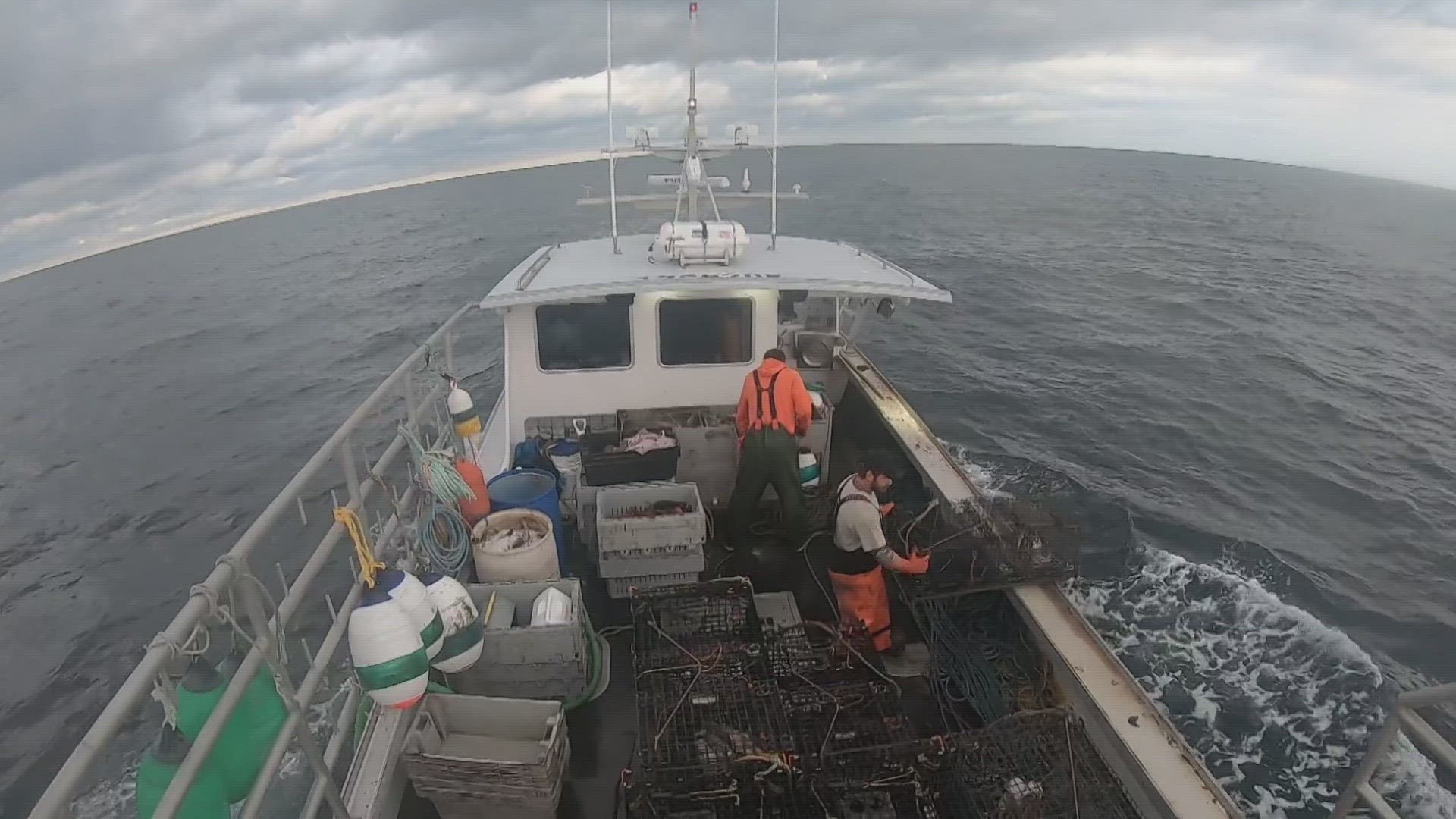 The money was awarded to Maine to research and implement the traps the government and environmental groups want lobstermen to use.