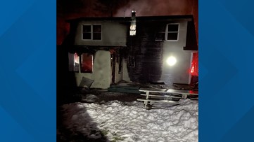 Paris home, dogs lost in fire Tuesday night