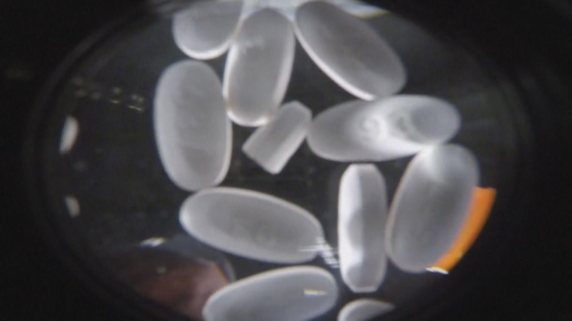 Local governments across Maine spent $3 million in opioid settlement funds last year. There’s $19 million left in their accounts, and more on the way.