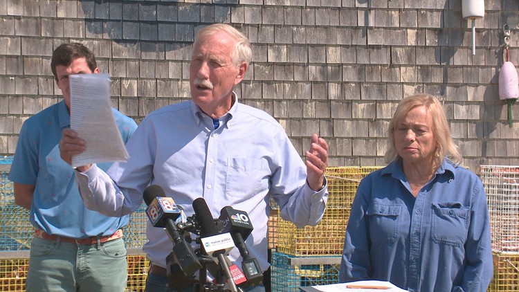 Maine leaders react to 'absurd' Seafood Watch red list on lobster