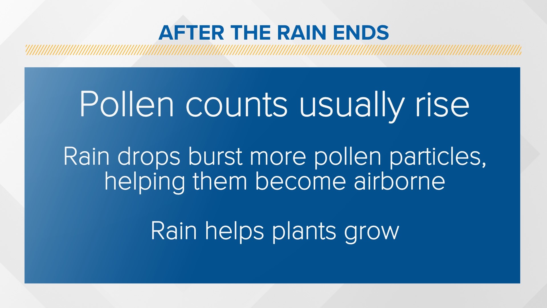 Rain has an affect on your allergies. But is it good or bad