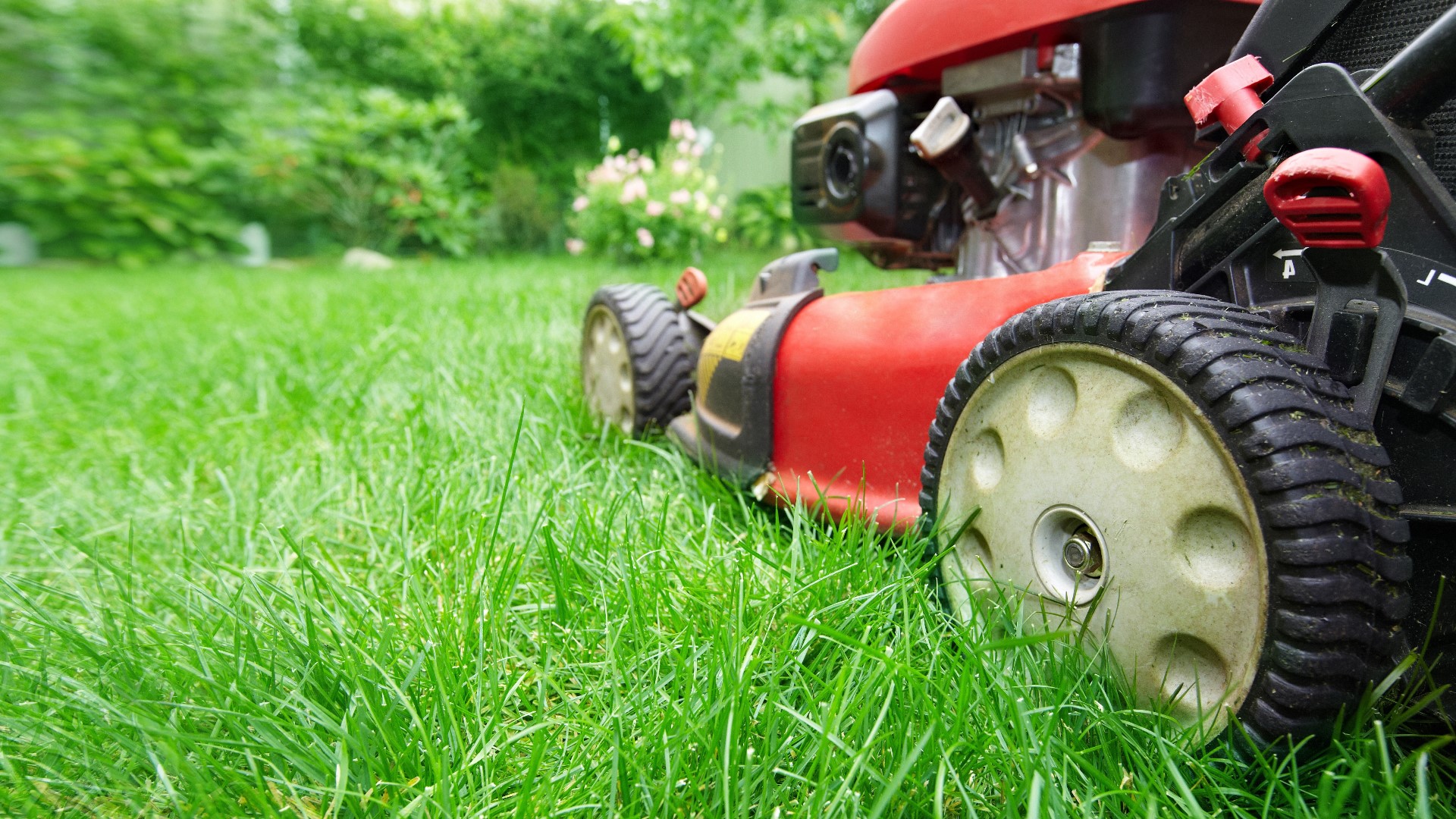 Despite their small size, gas-powered lawn tools emit a large amount of pollution.