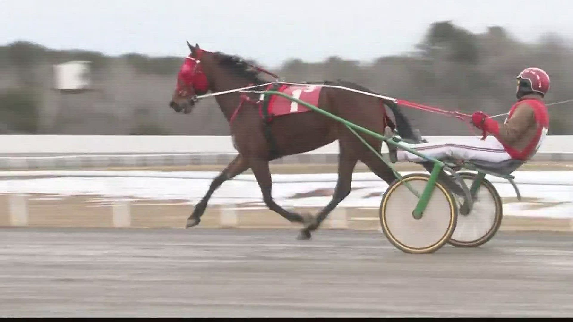 Scarborough Downs Opening Day