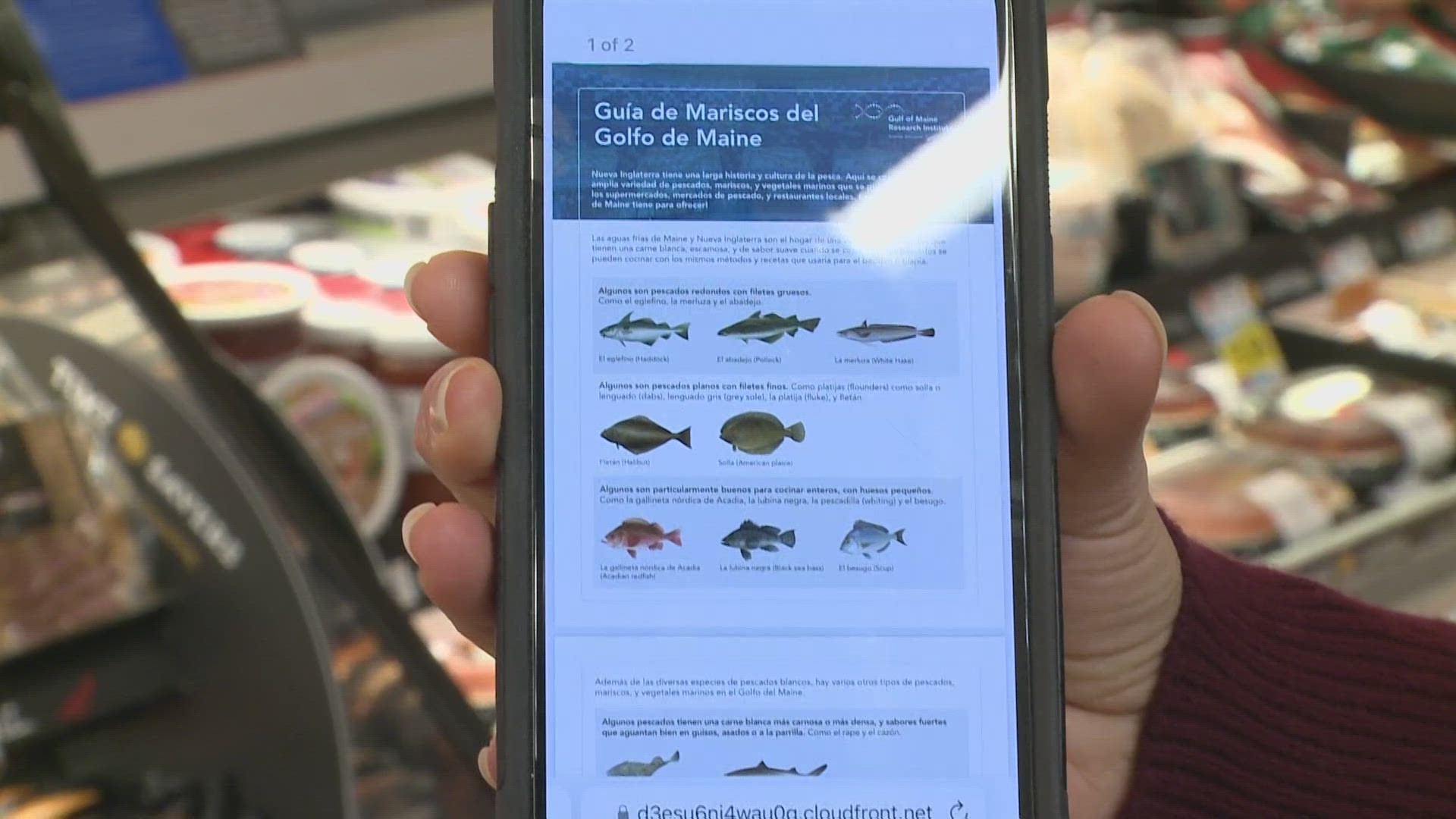 The seafood guide aims to acclimate new Mainers to the different types of fish available that they might not be used to eating.