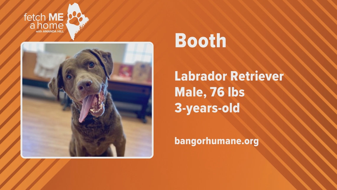 Fetch ME a Home: Booth