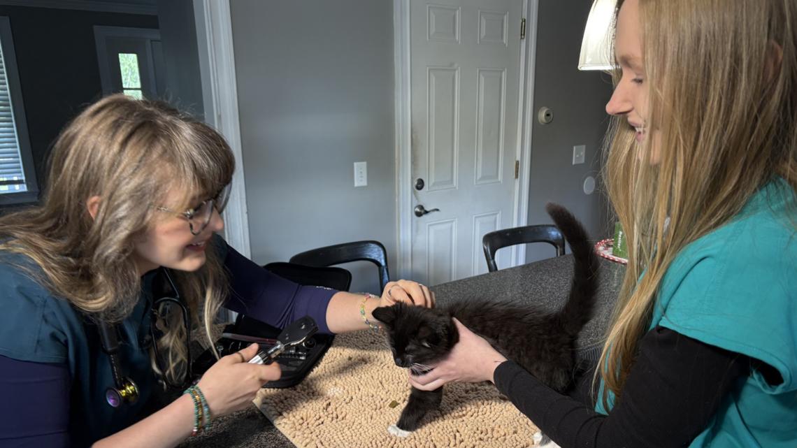 Maine veterinarians face higher suicide risks due to job stress and compassion fatigue