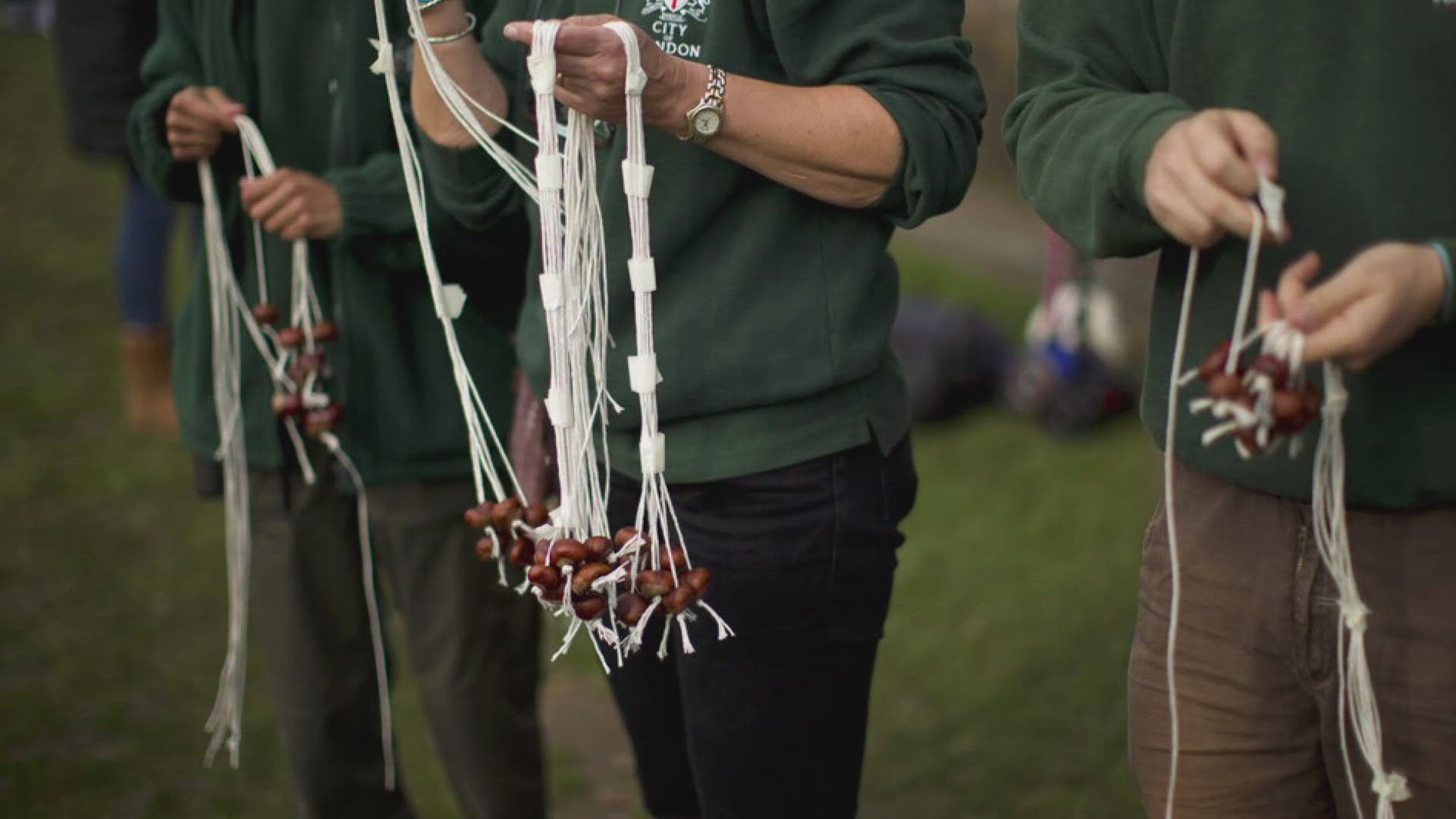 What is conkers? Well, it's a game where two players try to break the other's conker. What's that? It's a chestnut tied to a string.