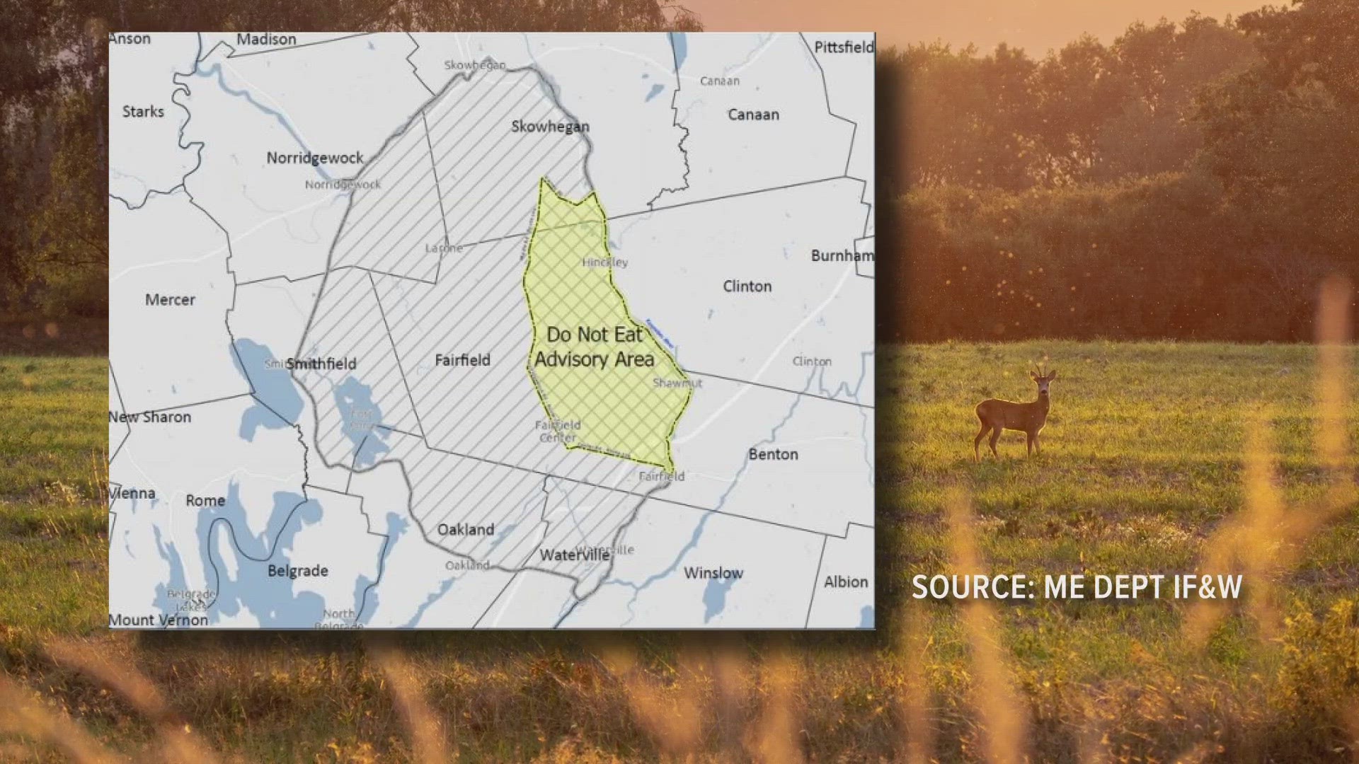 "The MDIFW and the Maine CDC recommend that no one eats deer or wild turkey harvested in this 25 square mile area," a release said.
