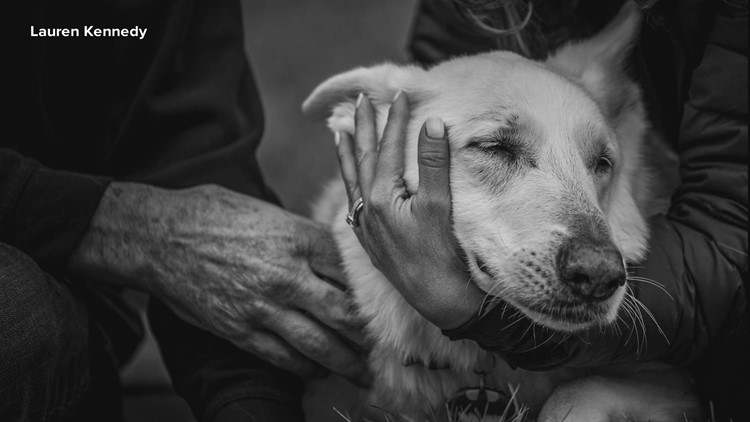 These photographers are capturing the final moments between owners and their pets