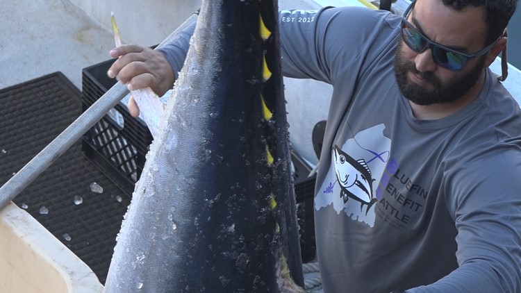 Bluefin Benefit Battle competition to help families in Maine battling cancer