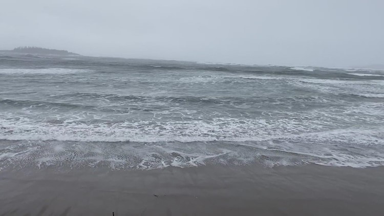 Popham Beach Storm 1/17/22