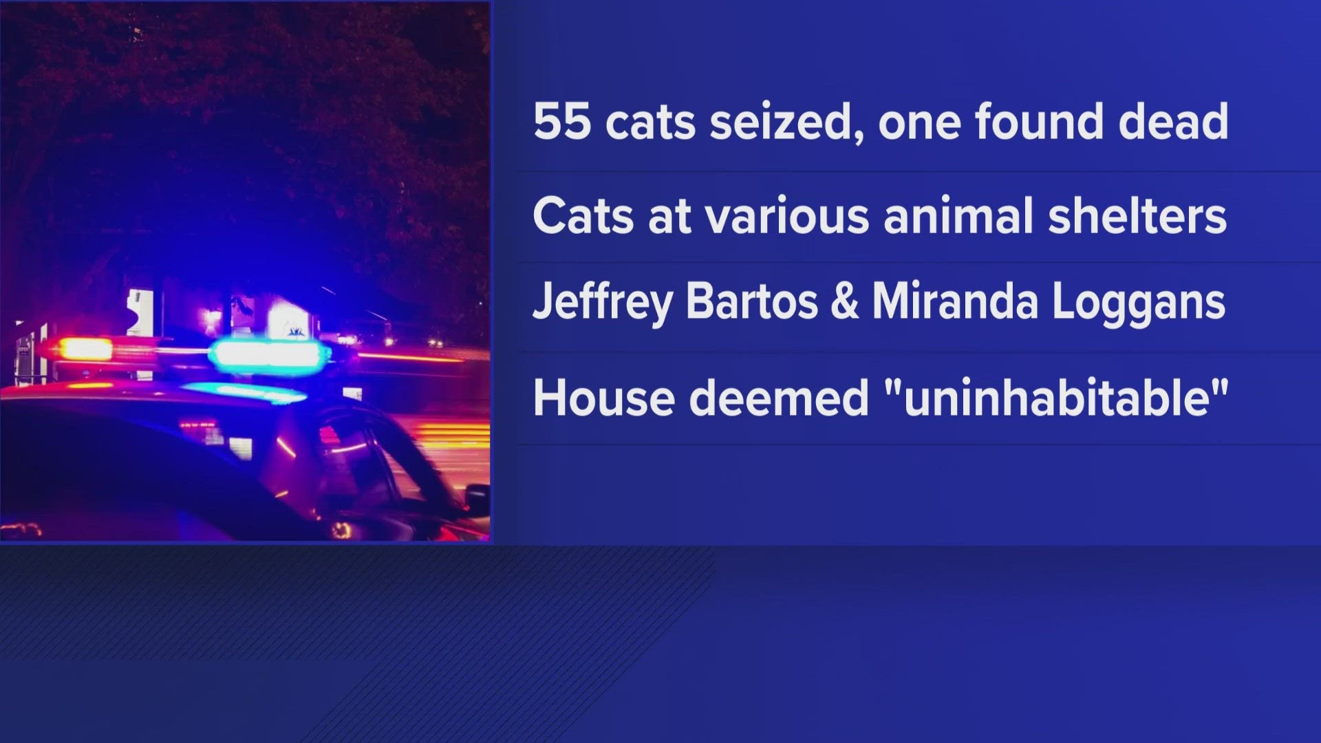 Auburn Residents Face Animal Cruelty Charges After 55 Cats Rescued ...