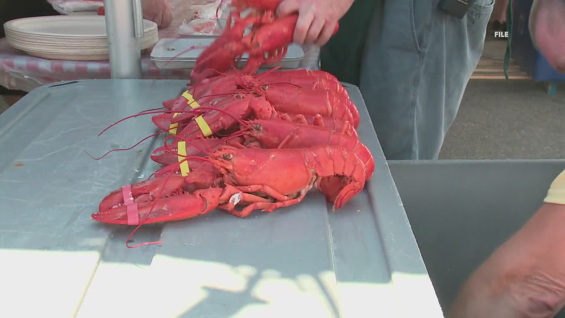 The 77th annual Maine Lobster Festival is free and features live music, a parade, a naval ship tour, and many other activities. Oh, and lots of lobster.