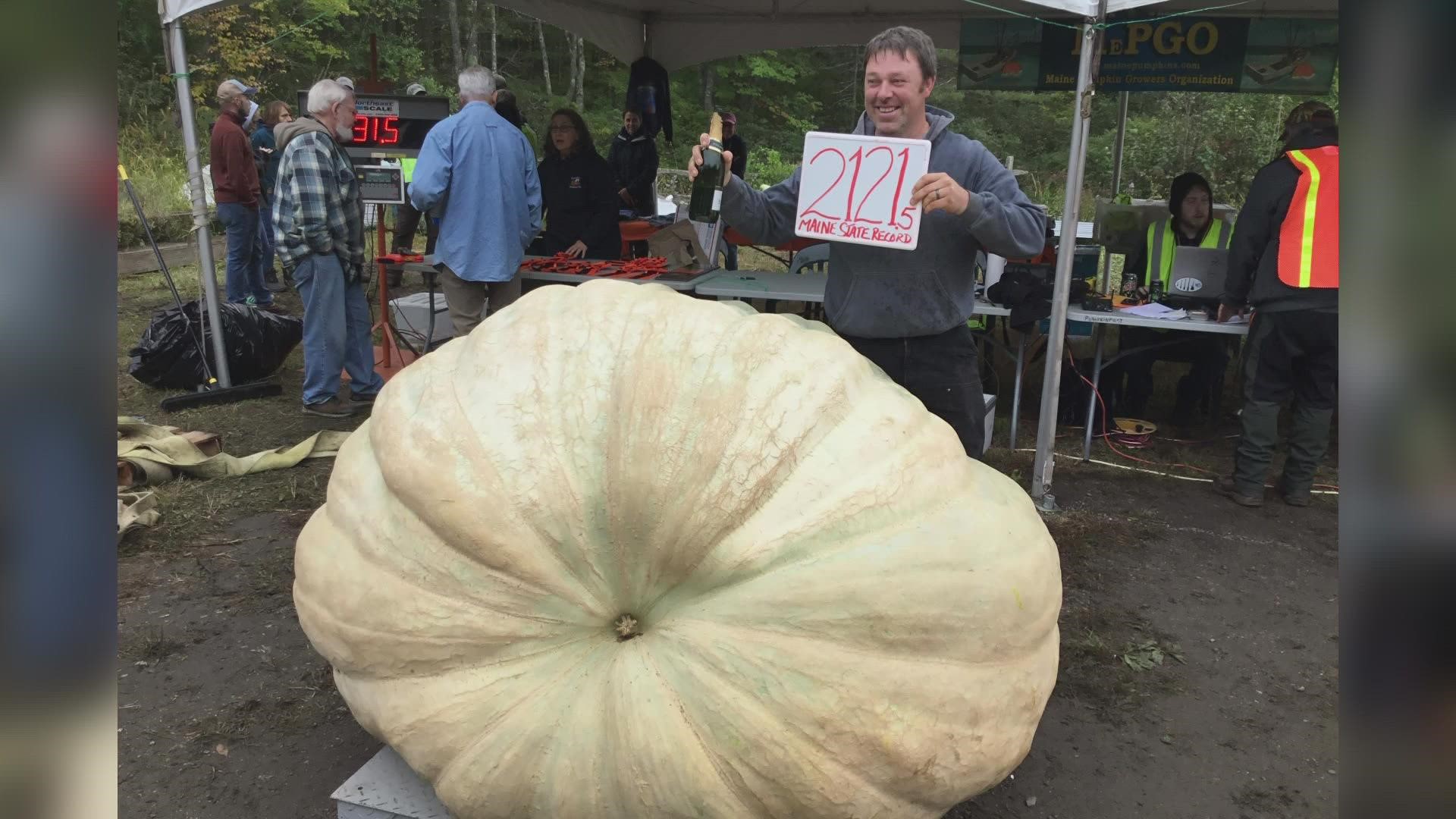 Edwin Pierpont of Jefferson set a new Maine record for giant pumpkins with a mammoth 2,121.5 pound pumpkin.