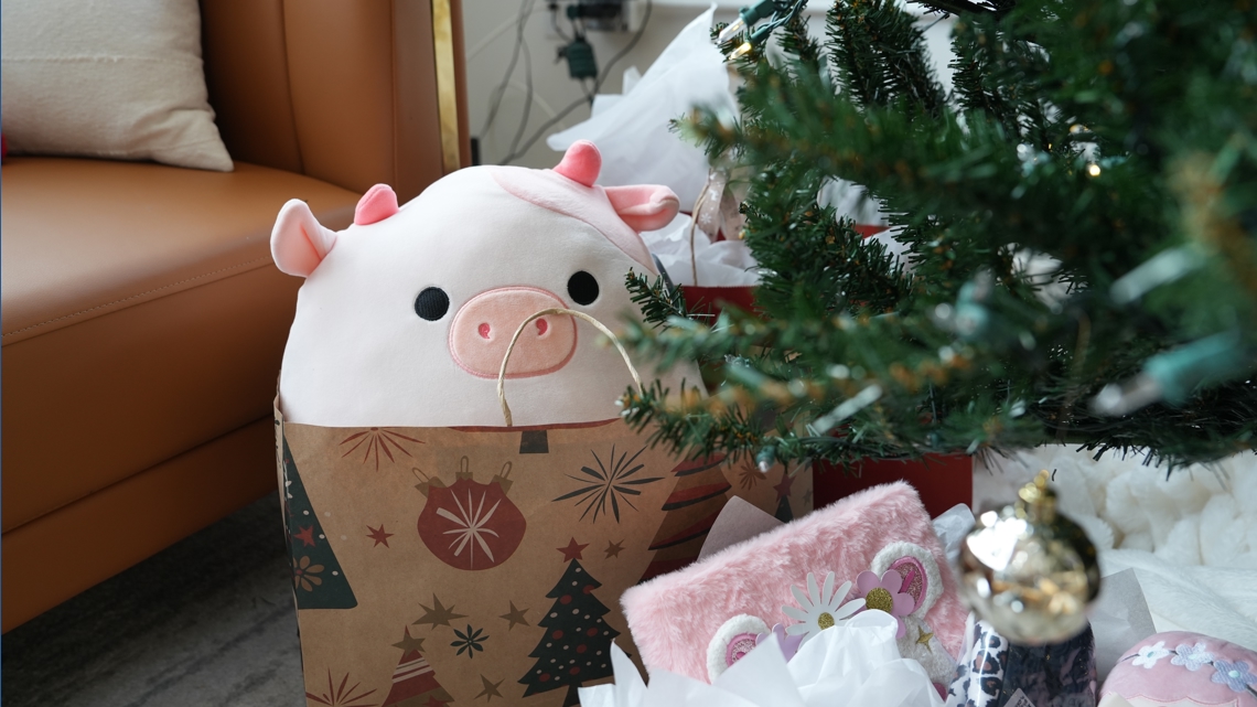 Statewide holiday toy drive for adoptive, foster, and kinship families in Maine