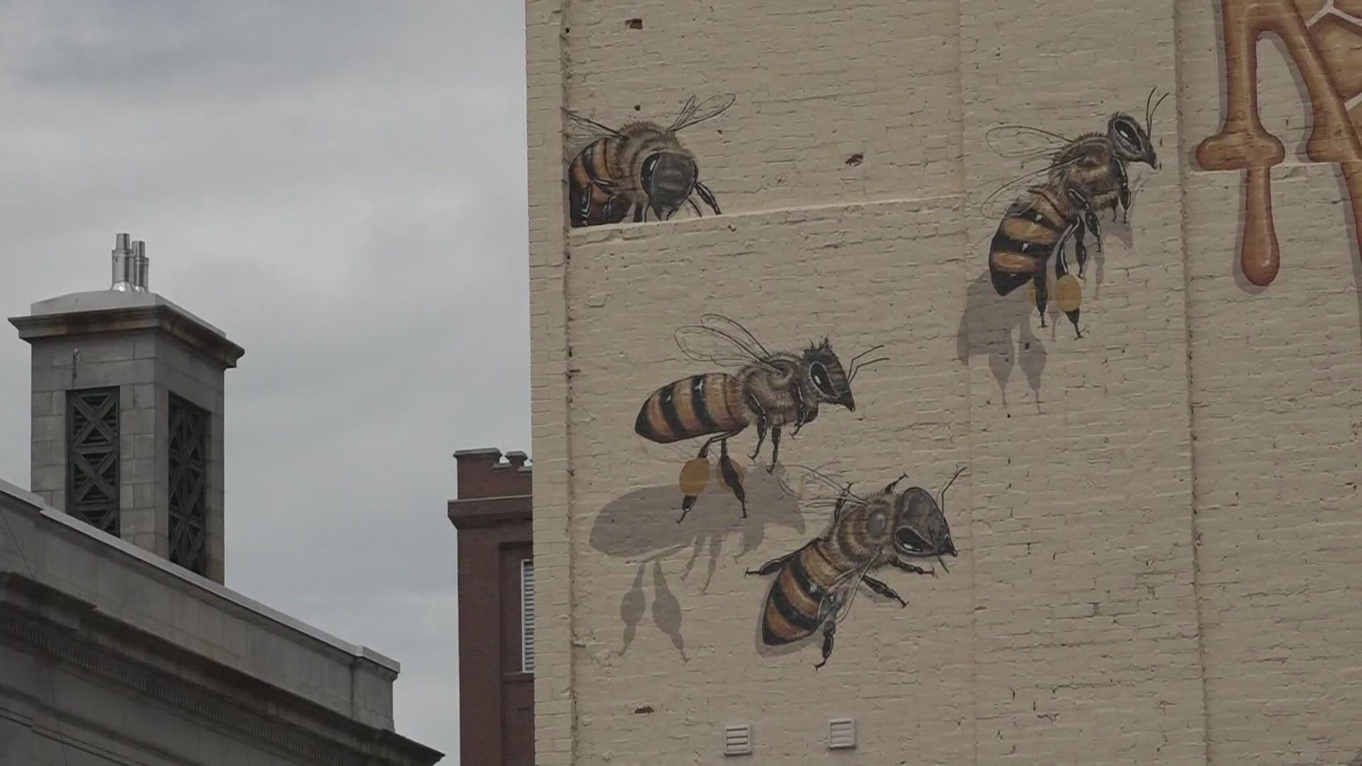 Bangor is trying to get recognition for its efforts to help protect bees.