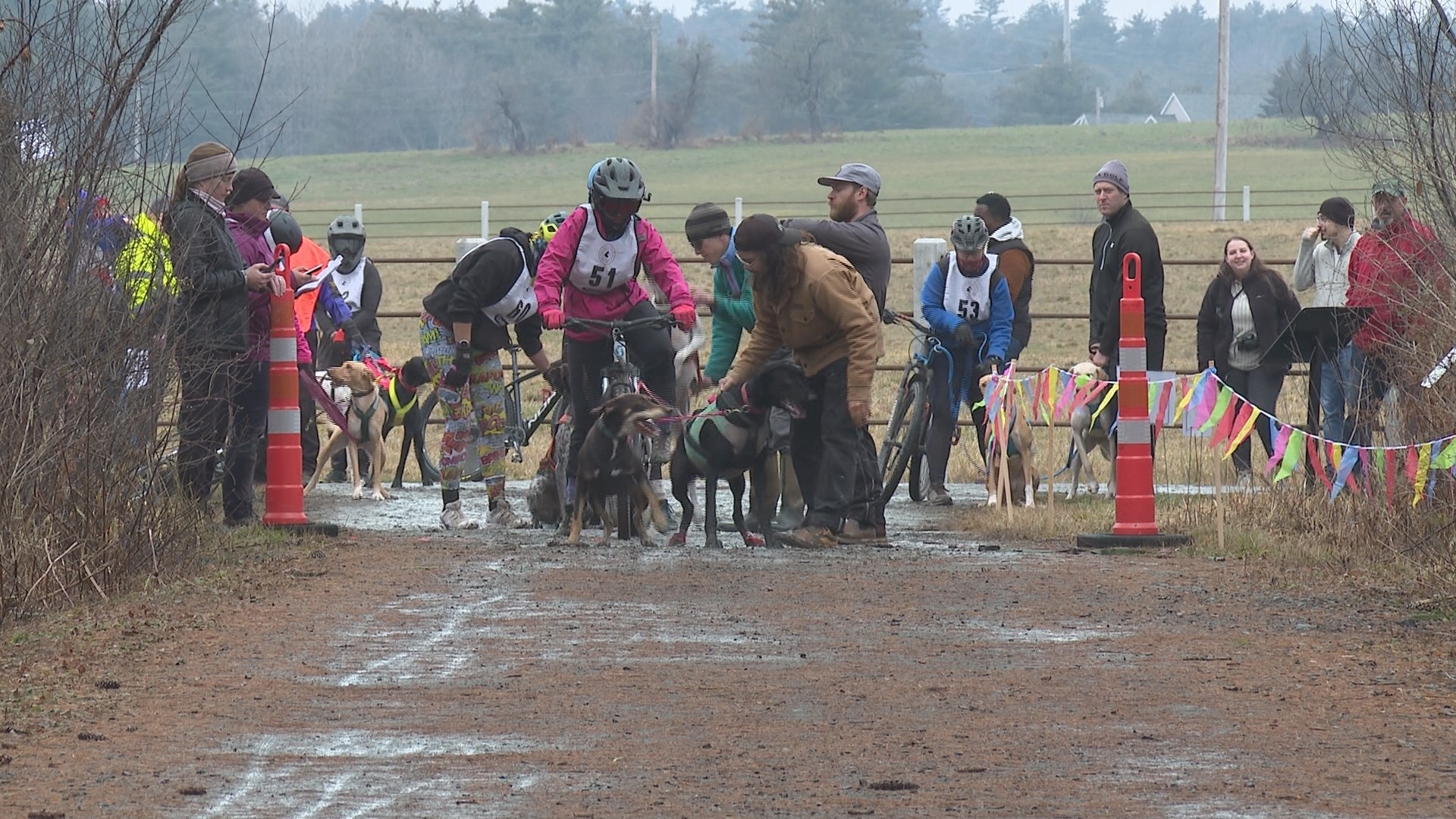 It was a muddy start to the day, but dogs and their handlers were able to enjoy the day, with some racing for fun and others racing for speed.