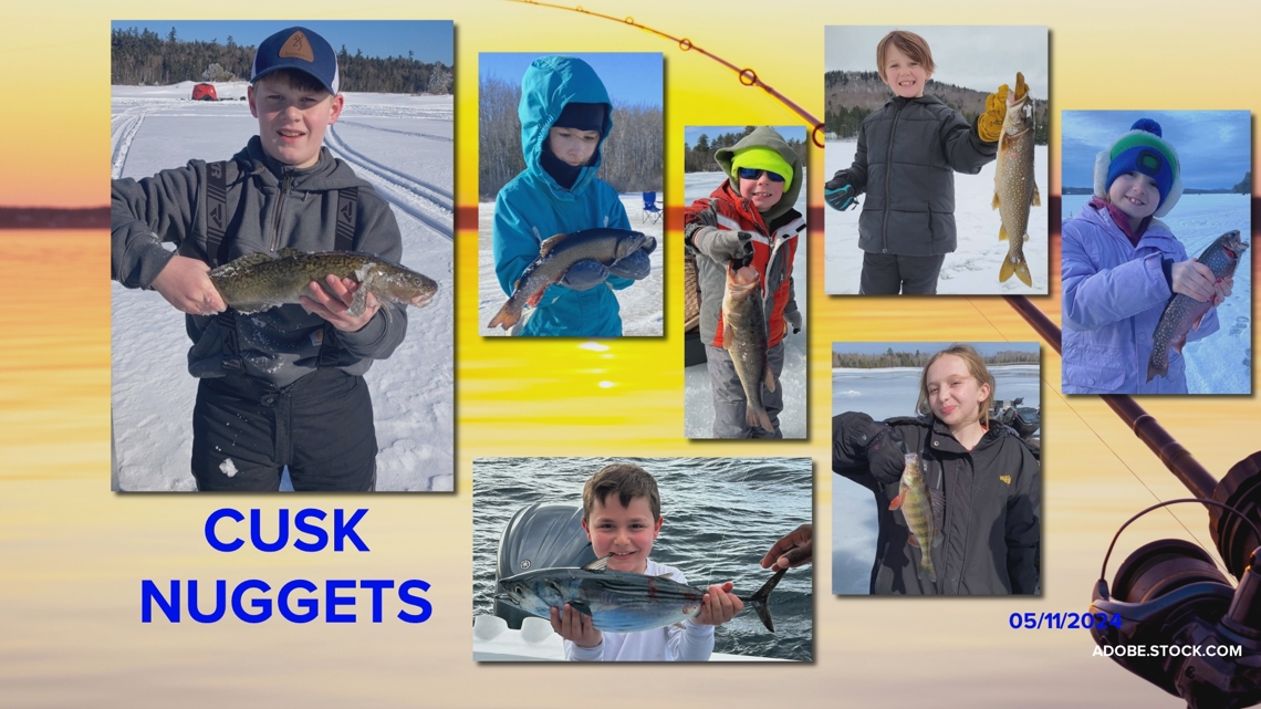 Big Ol' Fish: Cusk Nuggets | newscentermaine.com