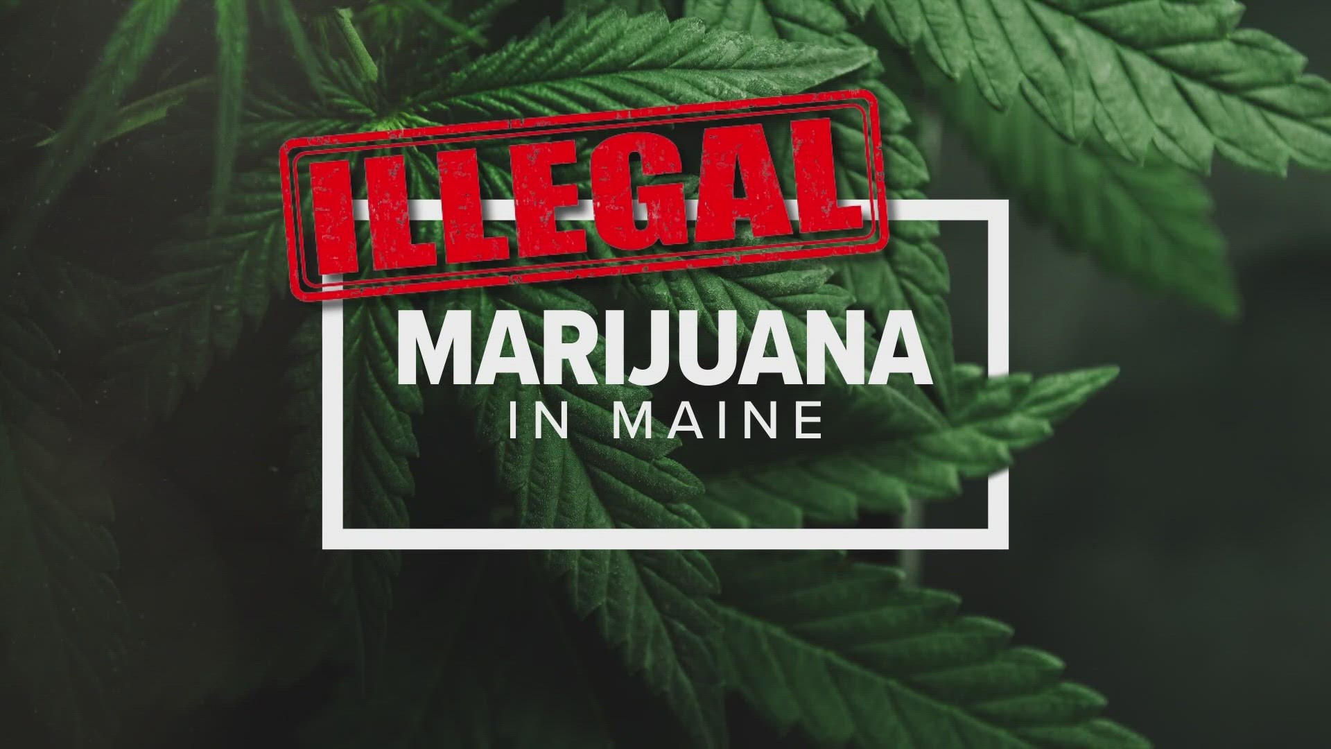 Xisen Guo is the first to face a federal charge in connection with a sprawling investigation into illegal marijuana growing operations in Maine.