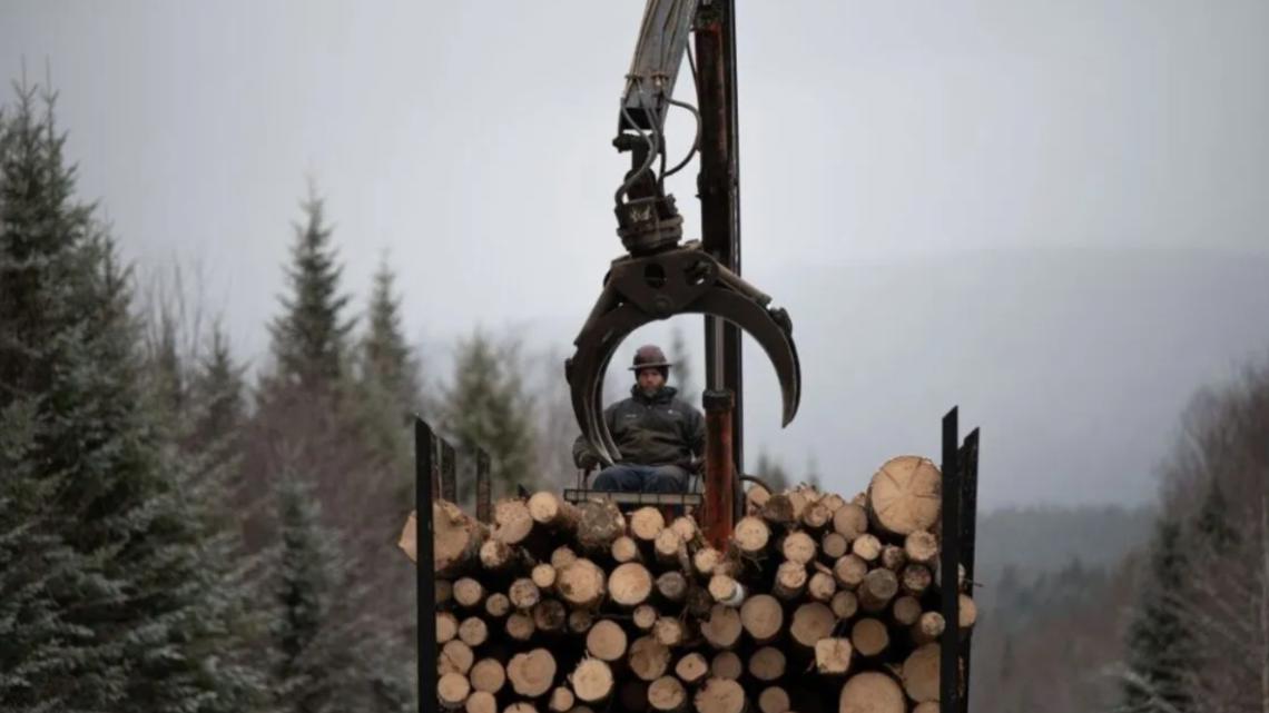Maine loggers are used to hard times. Then came the tariffs.
