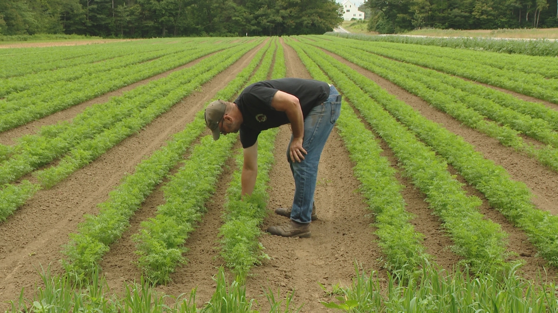 Free Climate Consults aim to help Maine farmers adapt to change