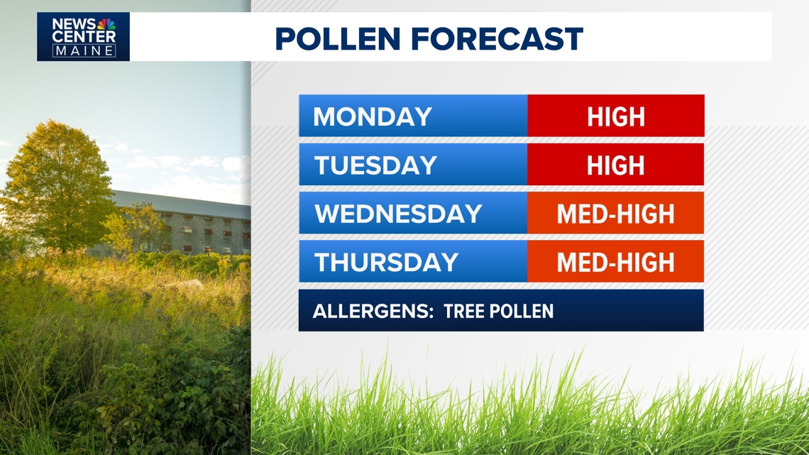 What to expect as pollen and allergy season peaks in Maine