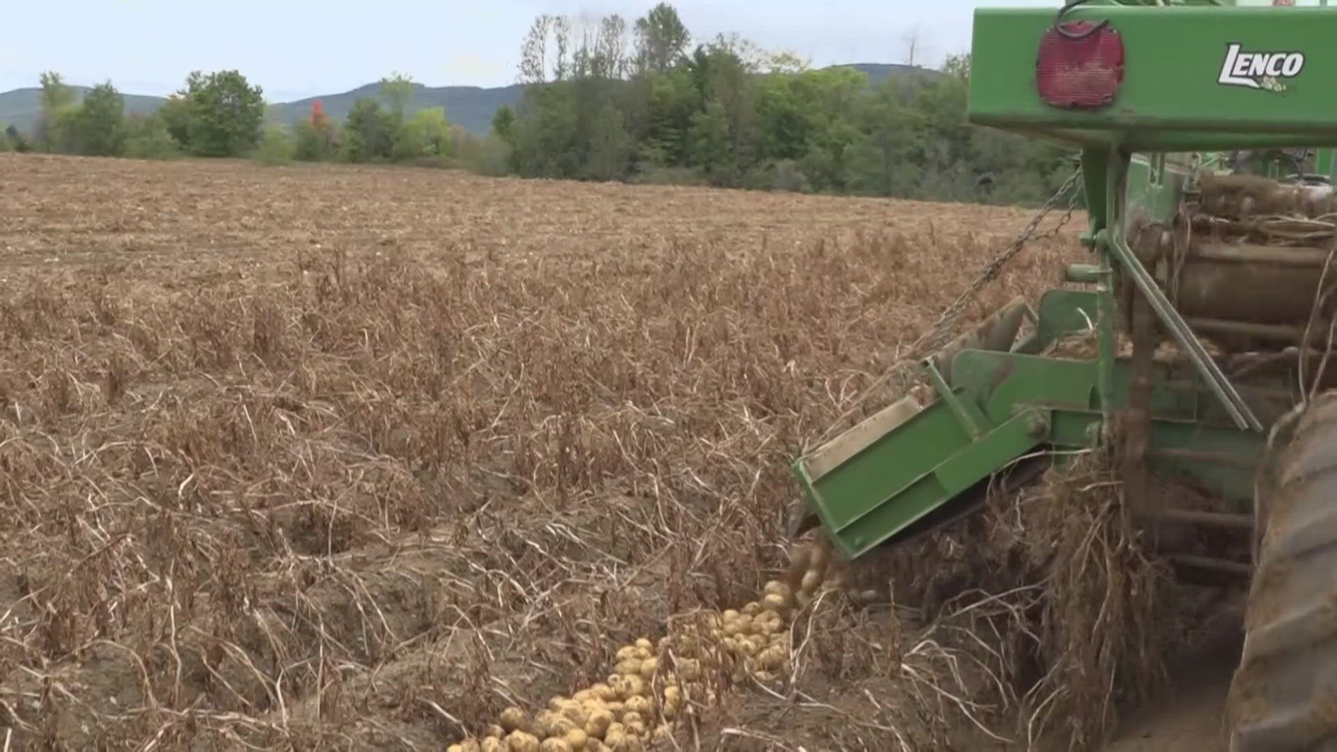 Collins will receive the Industry Impact Award at the event. Organizers said the award recognizes her continued support of potato growers at the federal level.