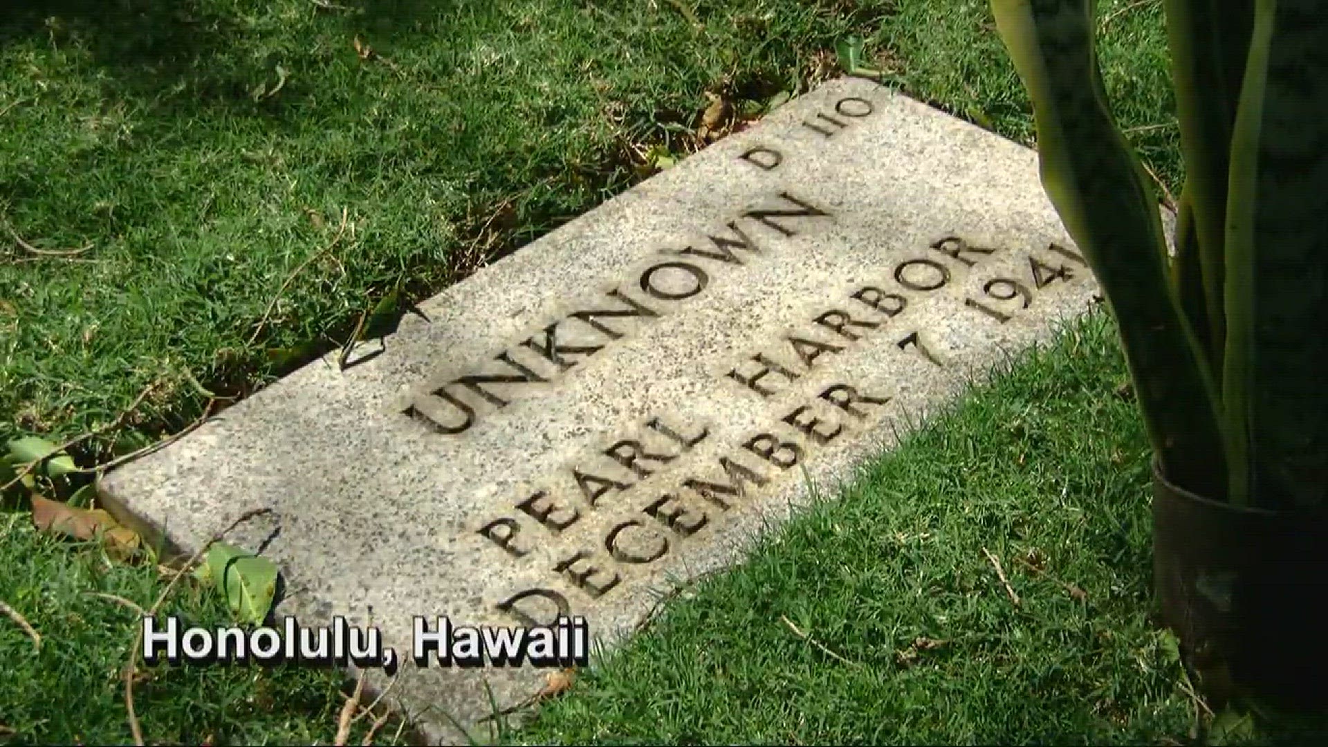 "Unknown Sailor" laid to rest