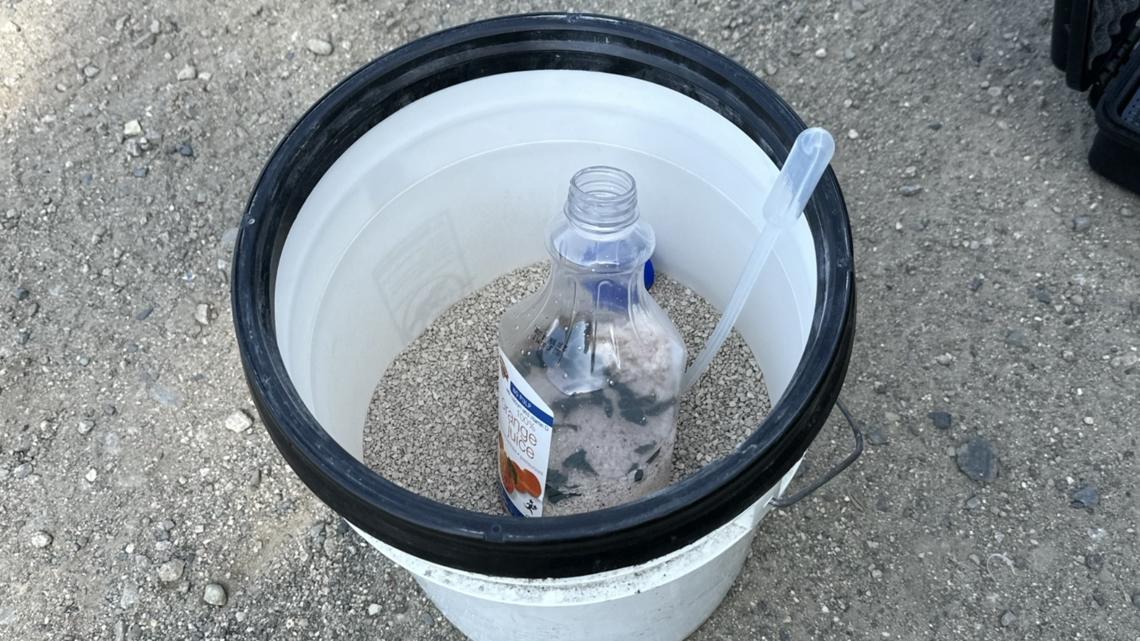 Kennebunk police arrest a man after discovering an active meth lab in his car