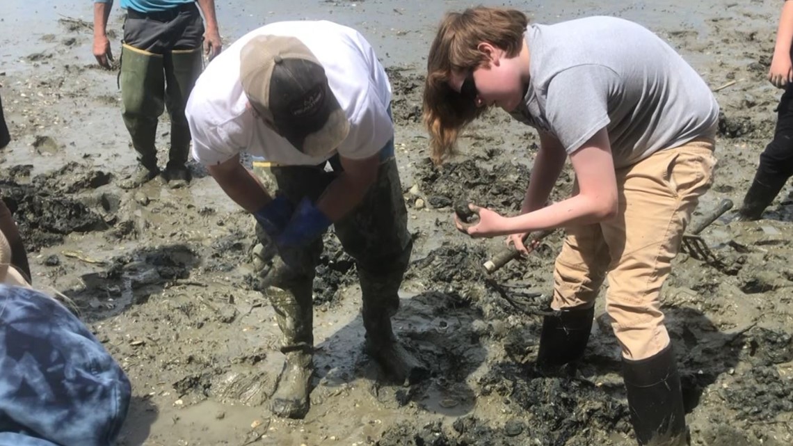 Mt. Ararat students hit mudflats to learn marine resources - Vimarsana News