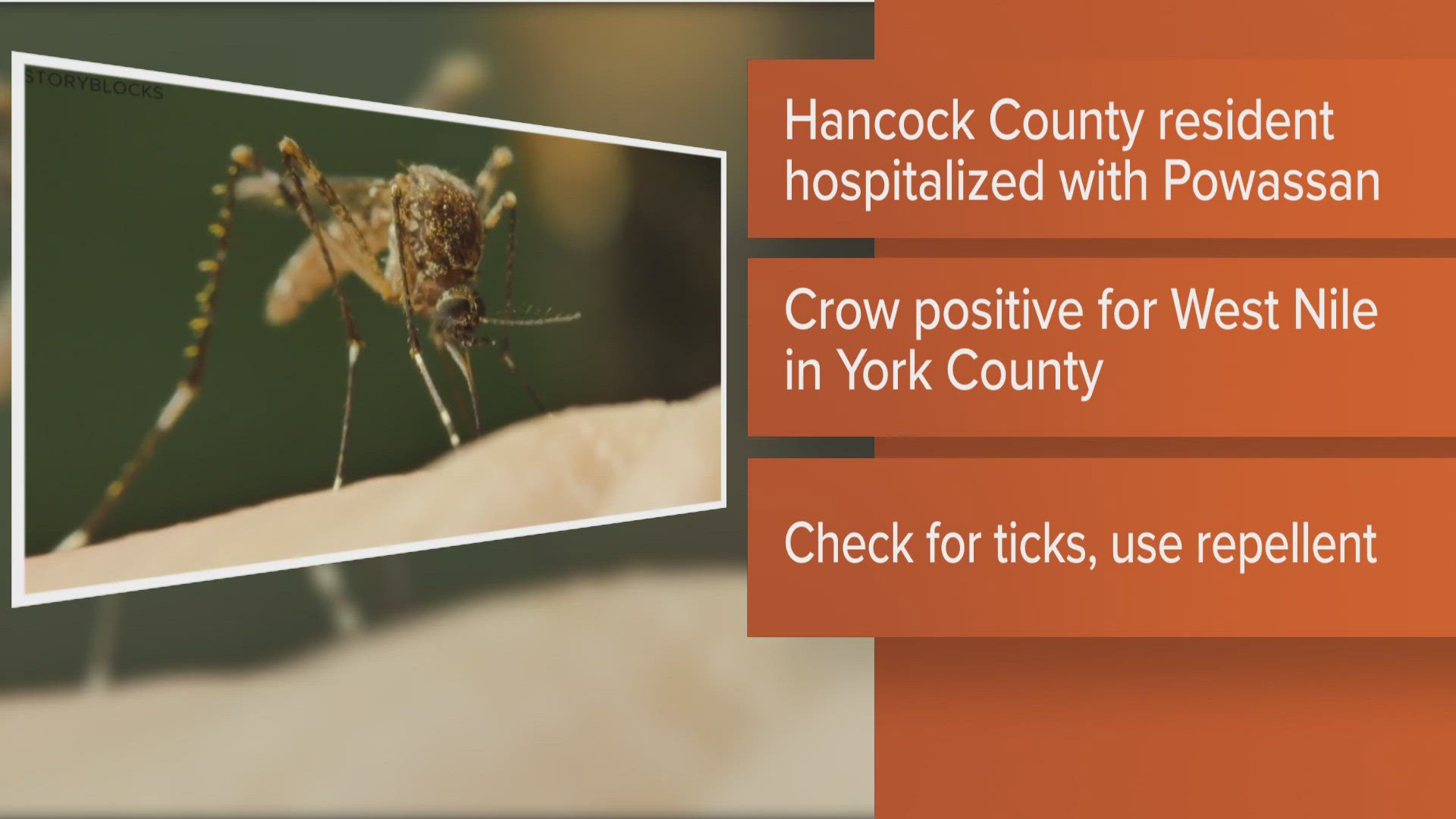 Public health officials say a Hancock County resident was hospitalized with Powassan, and a crow with West Nile virus was found in York County.